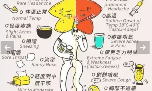 感冒颗粒能治喉咙痛吗-感冒颗粒冲剂金嗓子网- 金嗓子喉片和999感冒灵能一起吃吗知识,分享金嗓散结胶囊可以和感冒冲剂一起吃吗